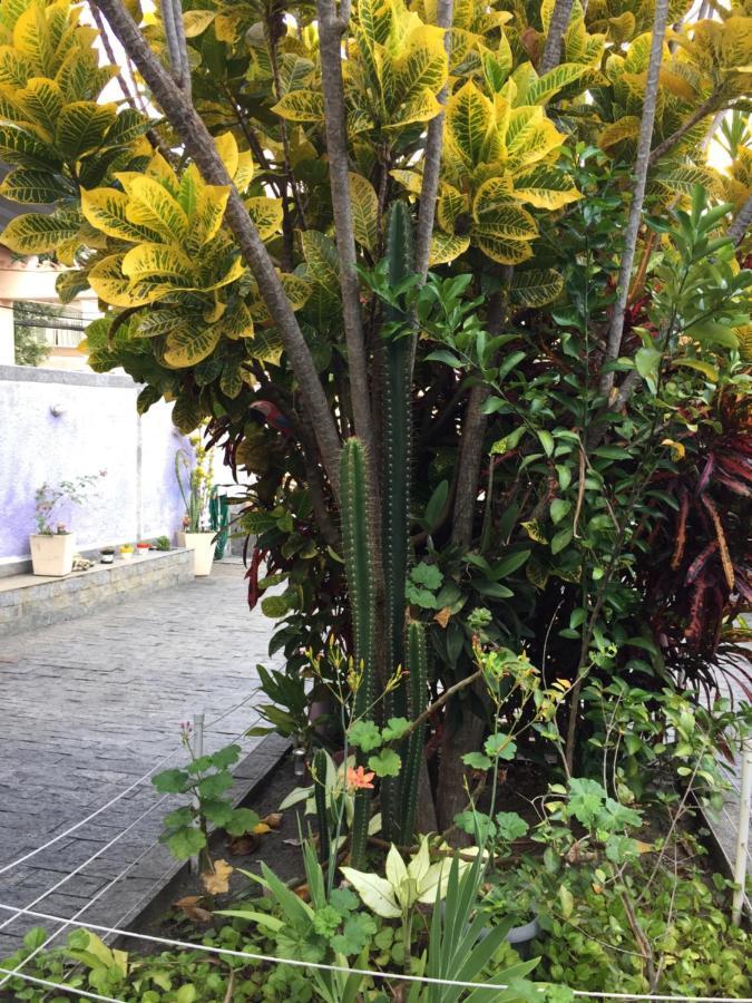Casa Aconchegante Em Vila Valqueire 里约热内卢 外观 照片